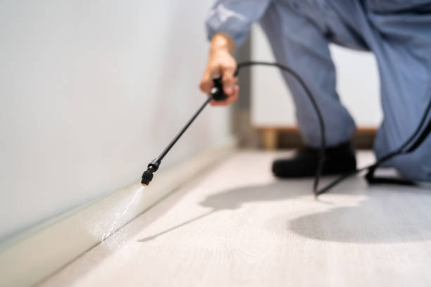 Licensed Pest Control service in Washington, GA - Show Me Pest Control